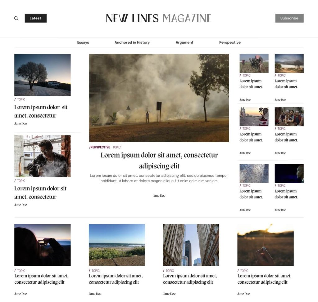 A screenshot of homepage showing an english version - New Lines Magazine